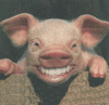 Baconbits's Avatar