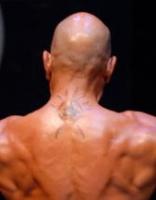 baldsamsonis's Avatar