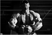 MuscleRush