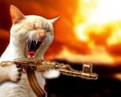 Banacek's Avatar
